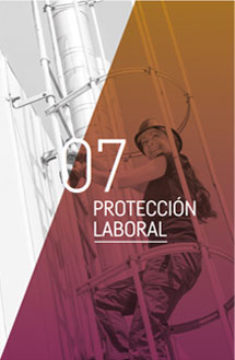 asilider catalogo 07 protección laboral